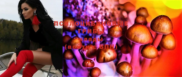твердый Верея