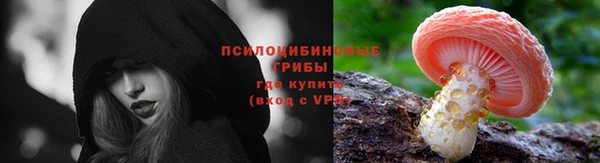 твердый Верея