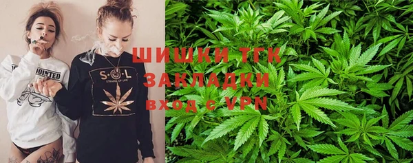 твердый Верея