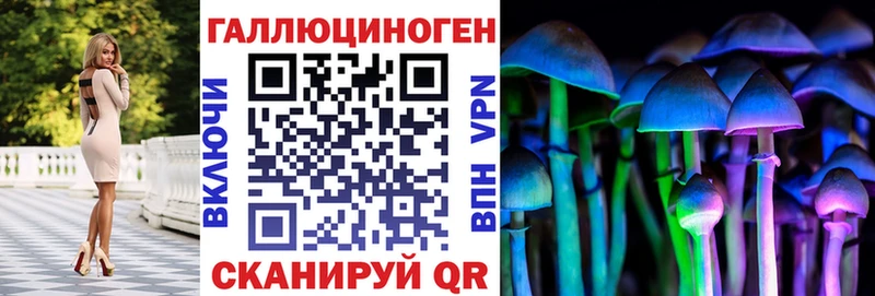 гидра маркетплейс  Катайск  Псилоцибиновые грибы Cubensis 